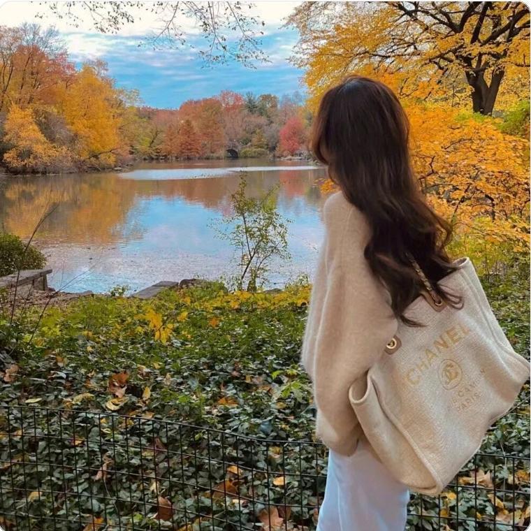 宋宋是我