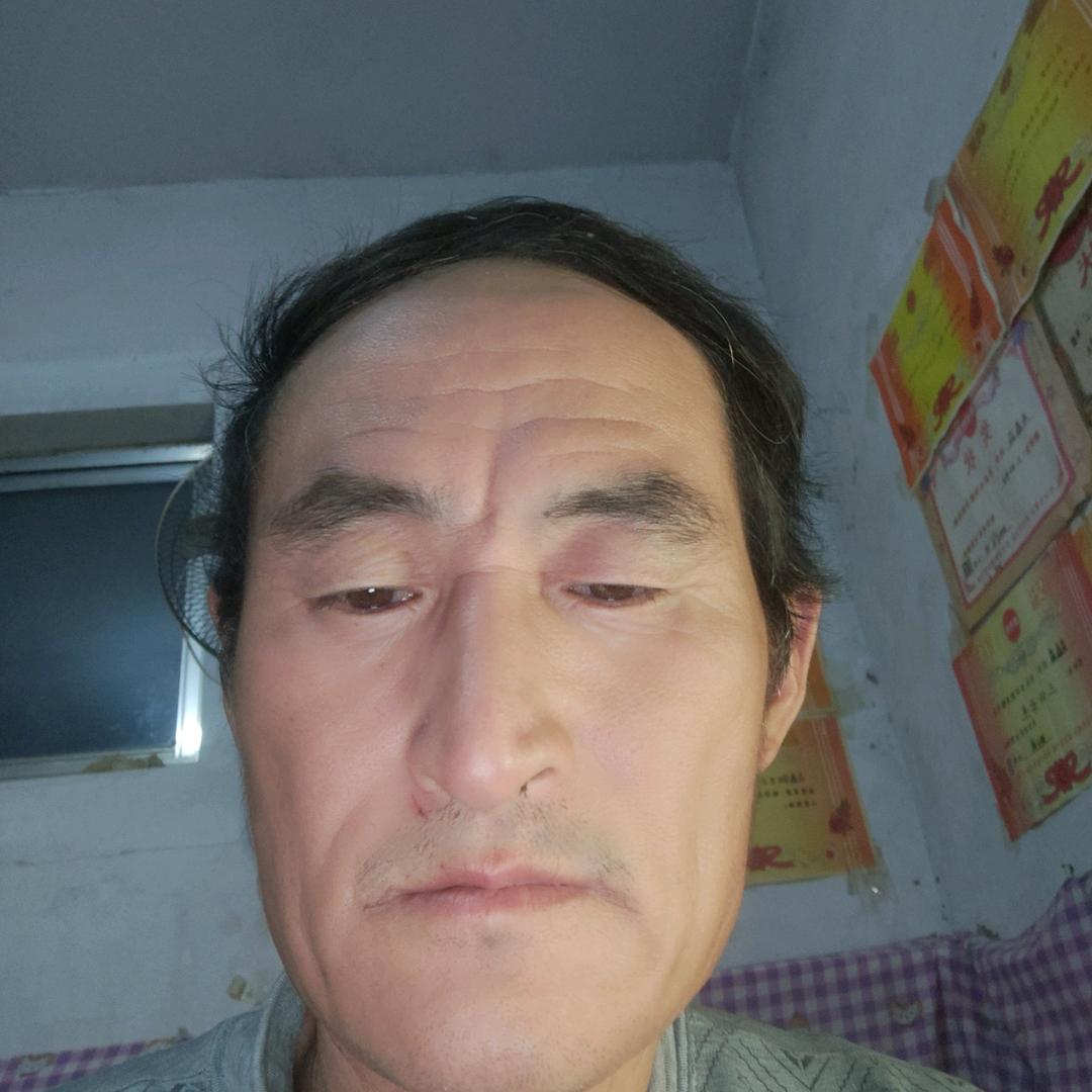 阳谷老高