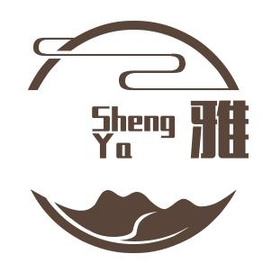 昇雅舞蹈服装(定制)H