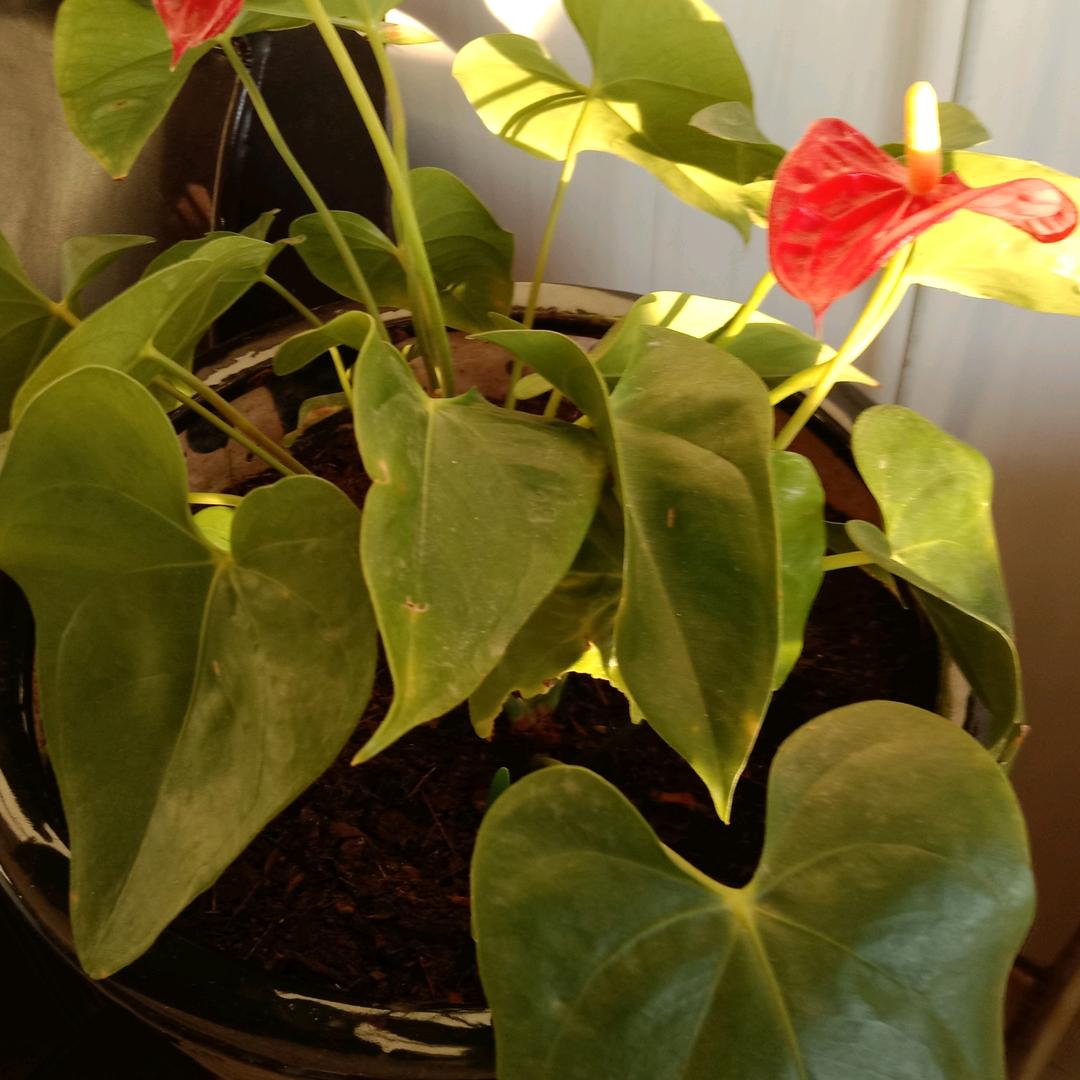 用户8639900851386老梁