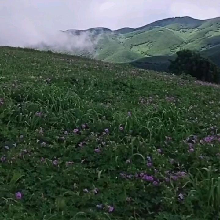 A    N🍒🍒🍇🍇🍇