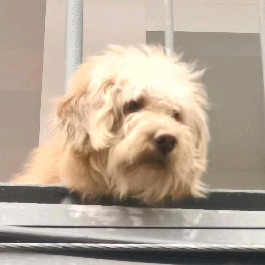 卡来卡来卡从四面八方来