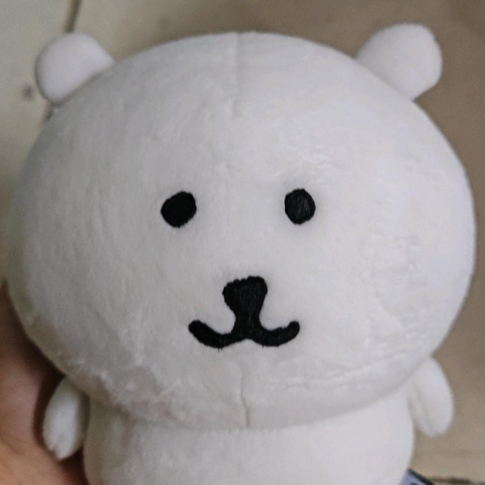 帅呆的熊*^_^*