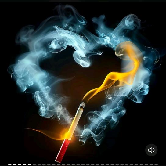 💕㞮孞•᷄ࡇ•᷅