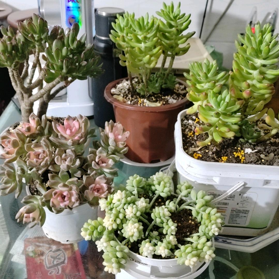 钱自己挣才有底气