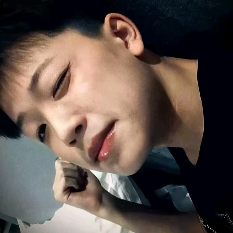翔翔《咏春豫剧团》