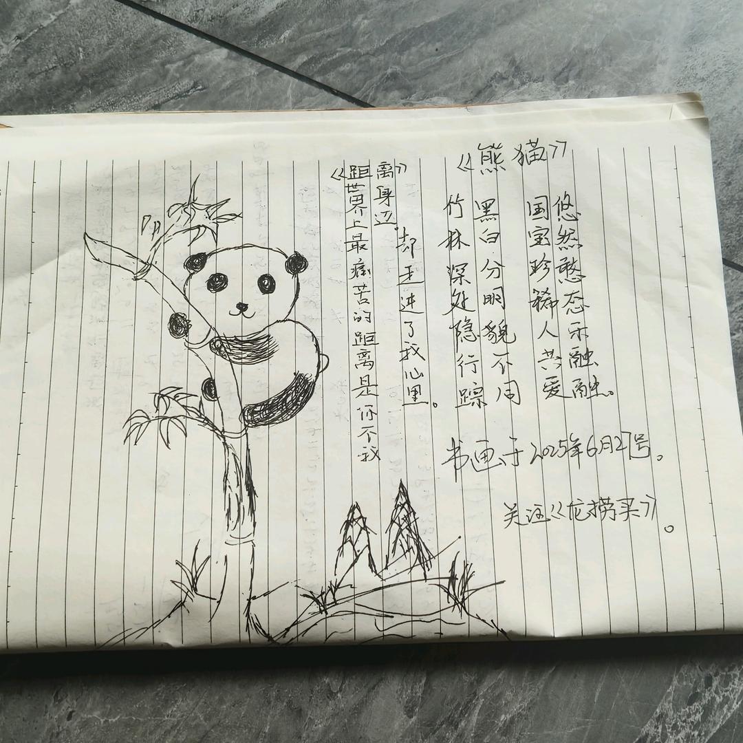 龙捞￥买✔