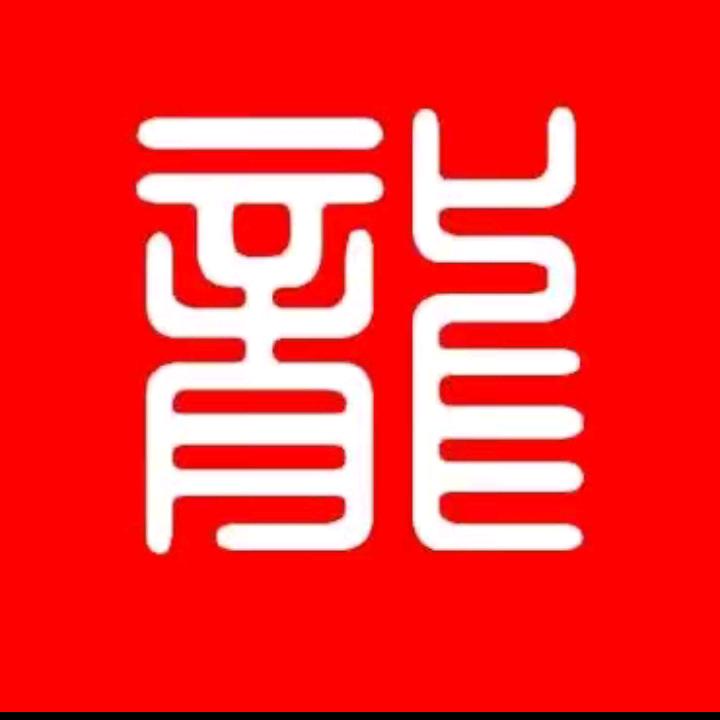 贵州龙少