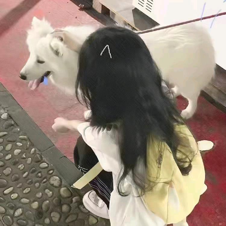 梦的追求。