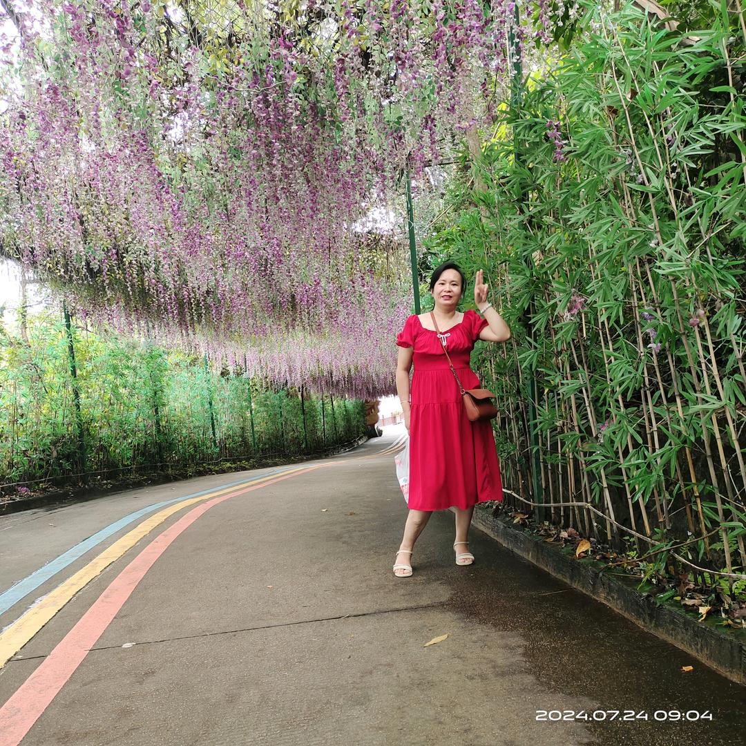 单身俱乐部（全国闪婚红姐）