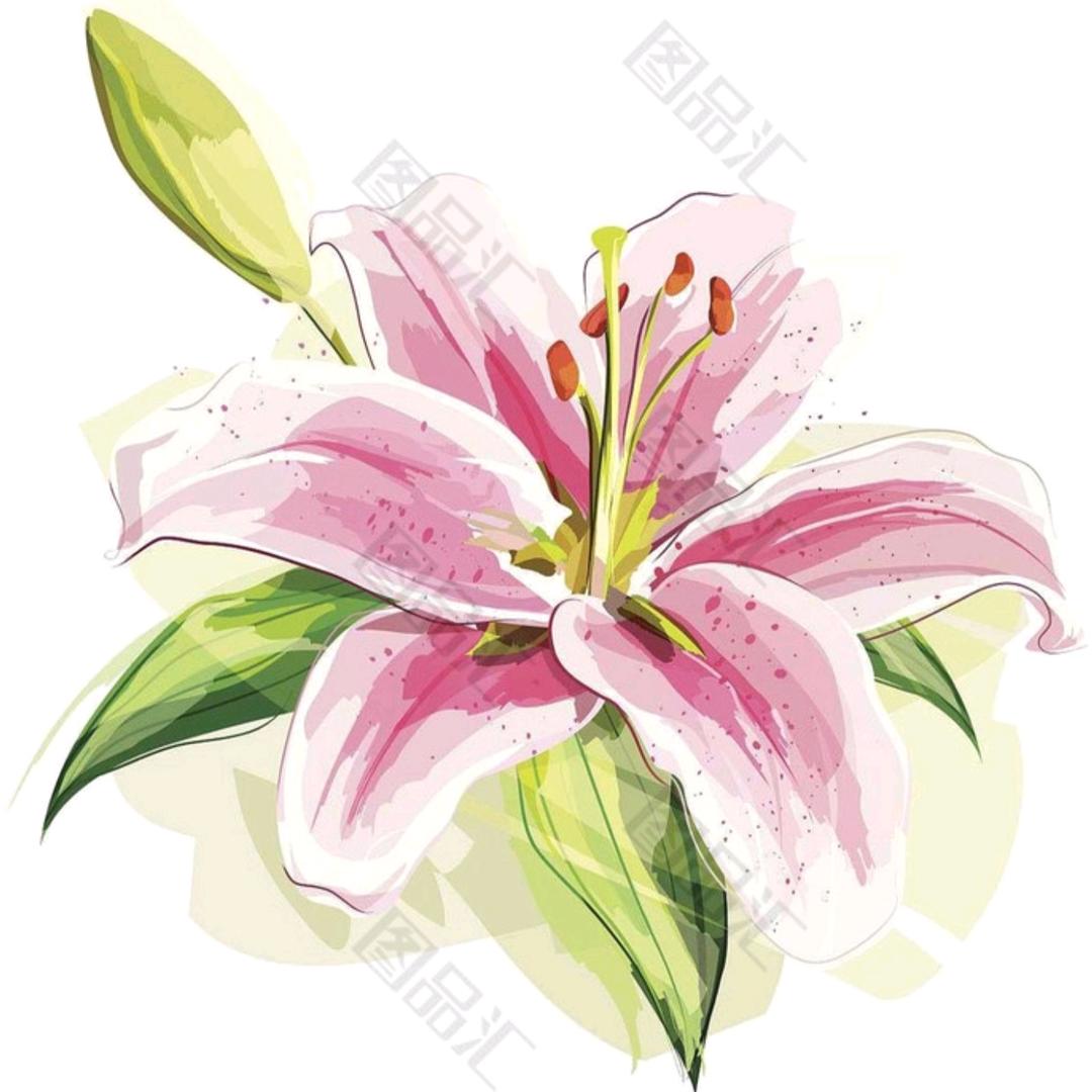 💞ღ᭄简单生活💞ღ᭄