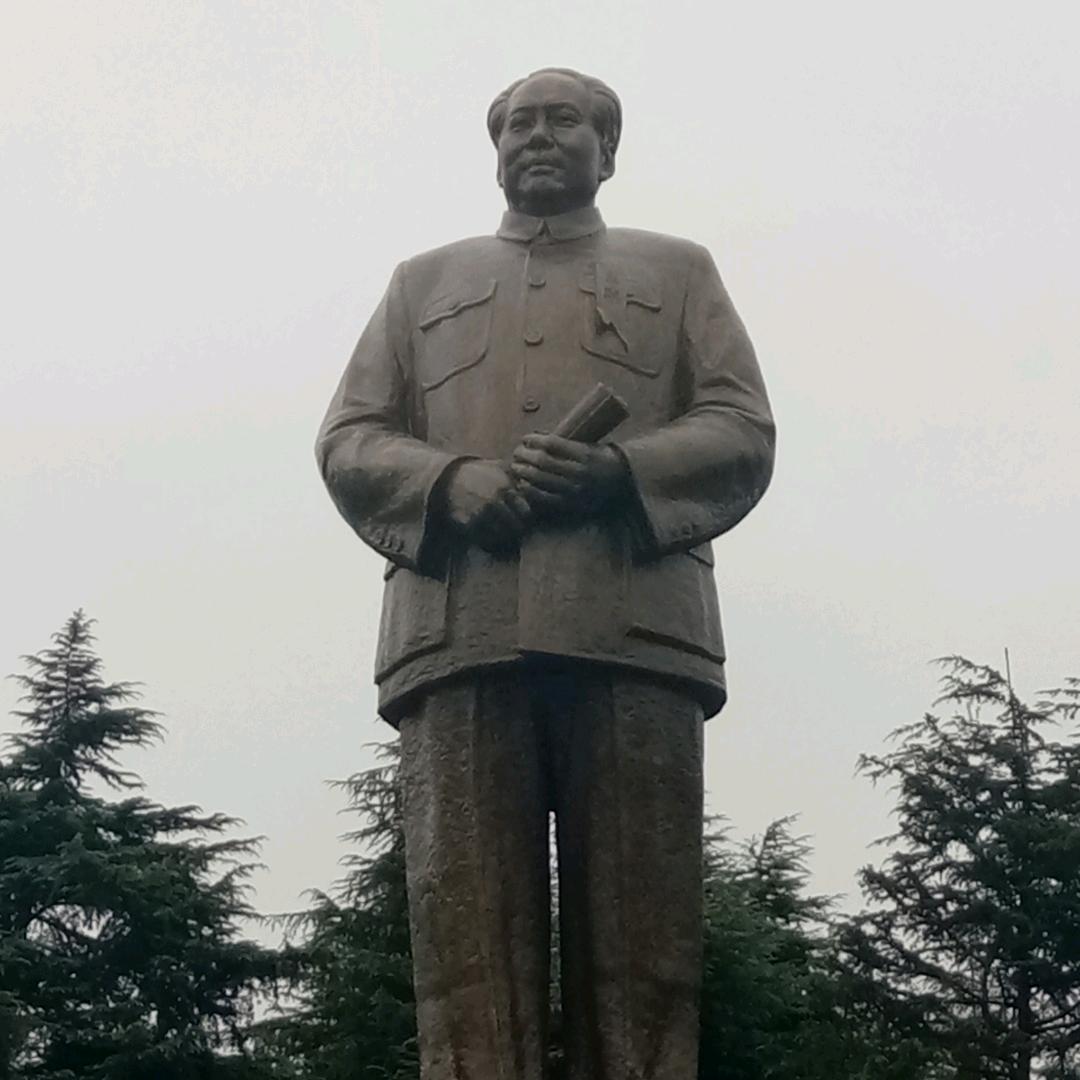 小黄不小，湘潭蚂蟥收购