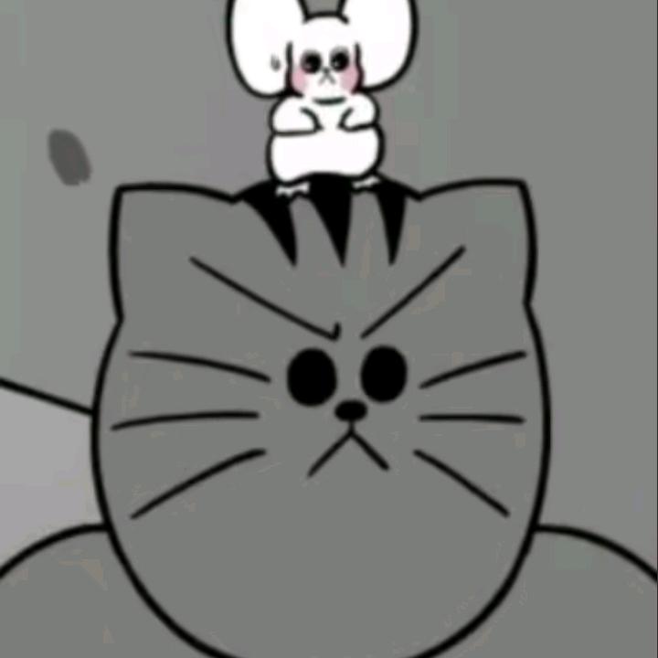 猫灰