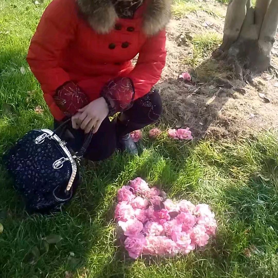 风轻云淡  😊 ᭄