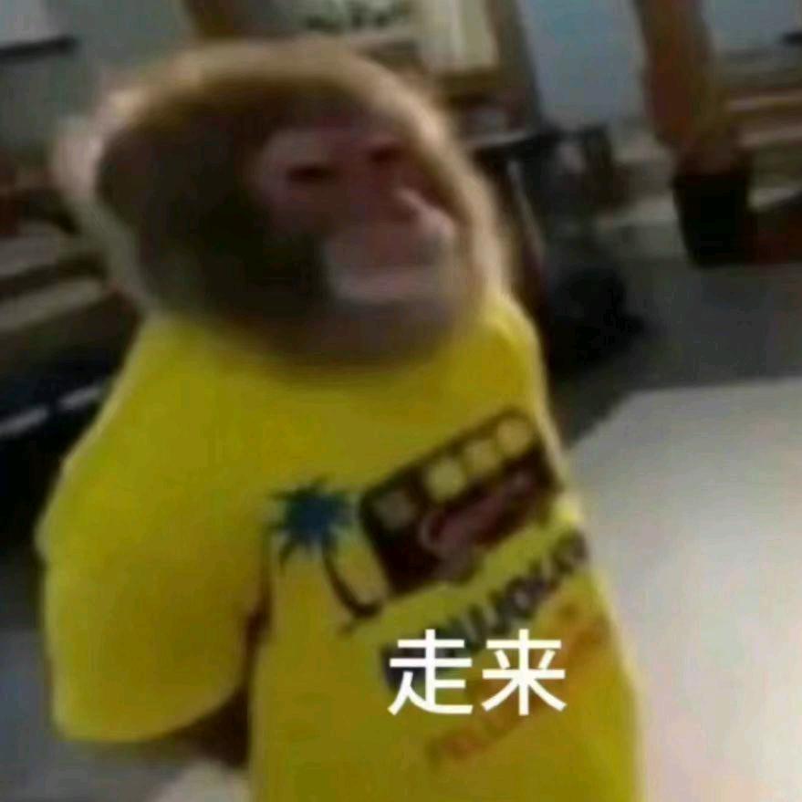 浅先森LG（看过小鬼演唱会版）