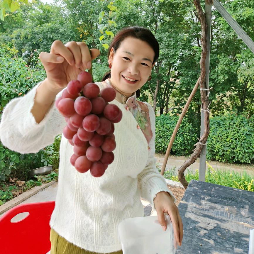 乾县莎莎