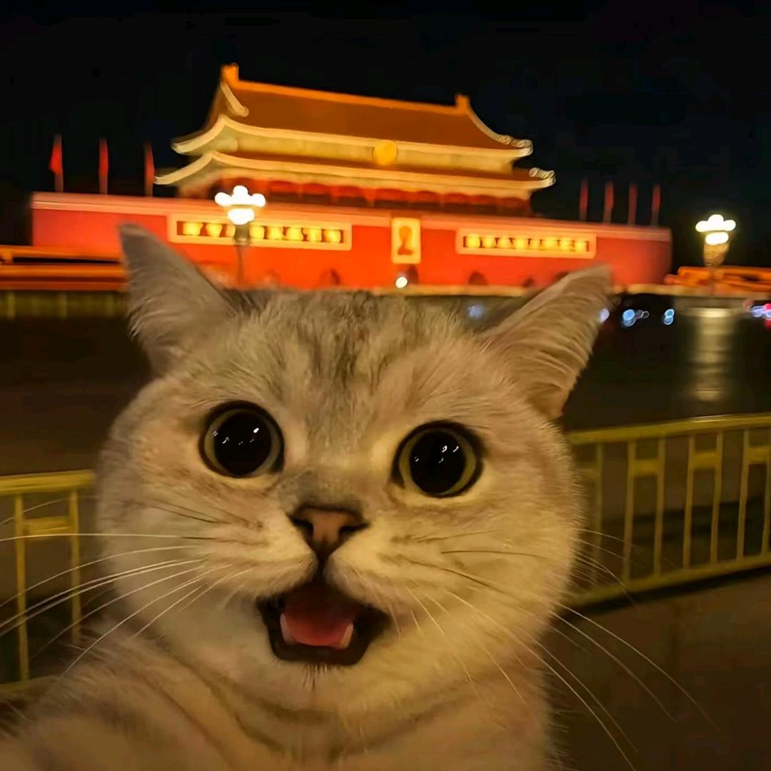 贪吃的猪猪侠