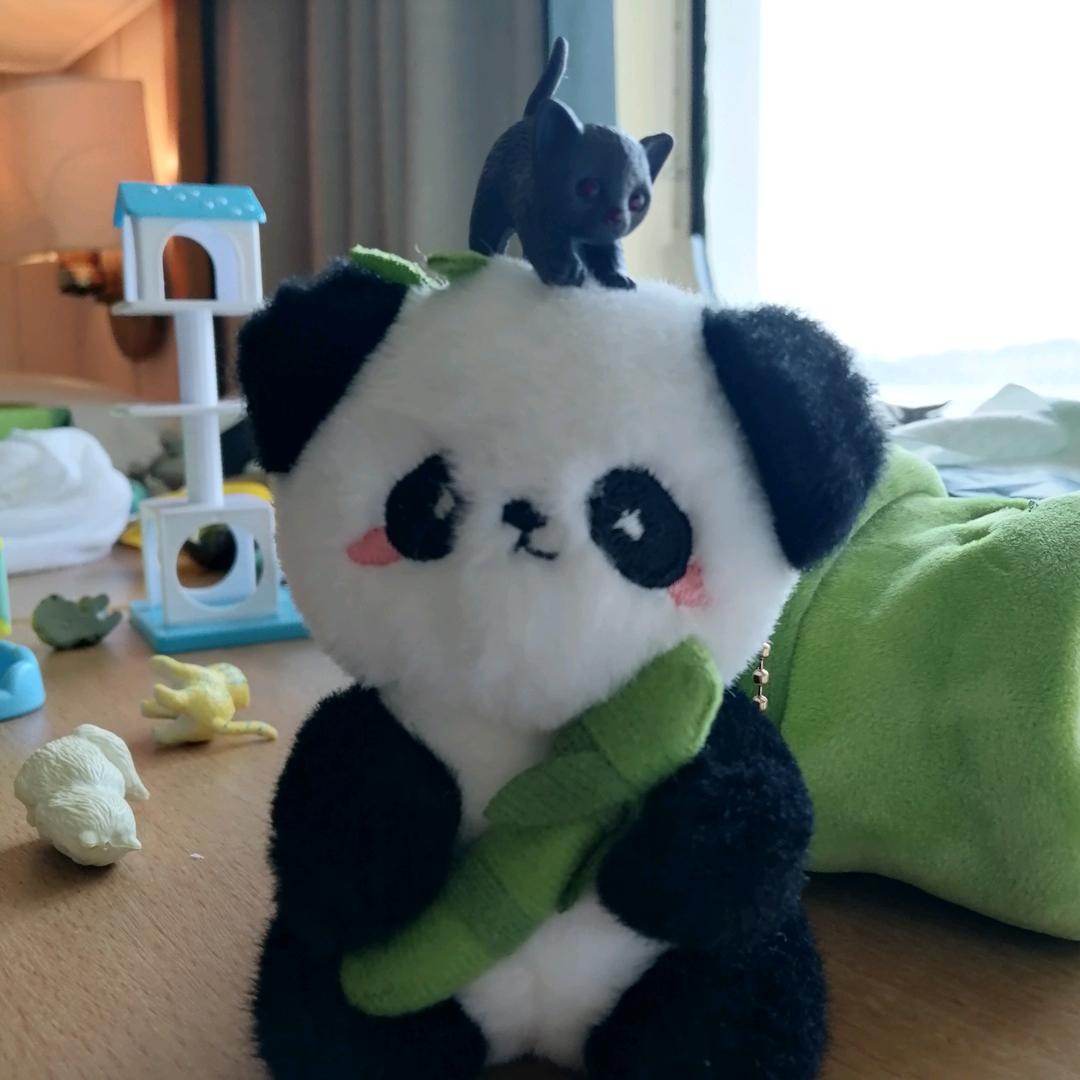 皖E•玲妹妹