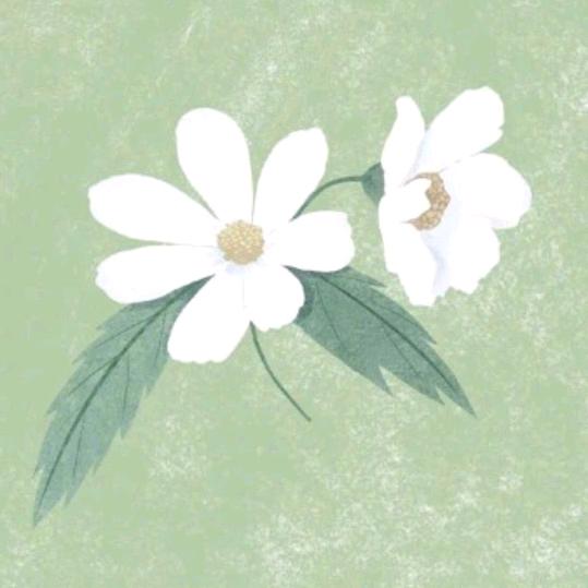 （不是山谷）