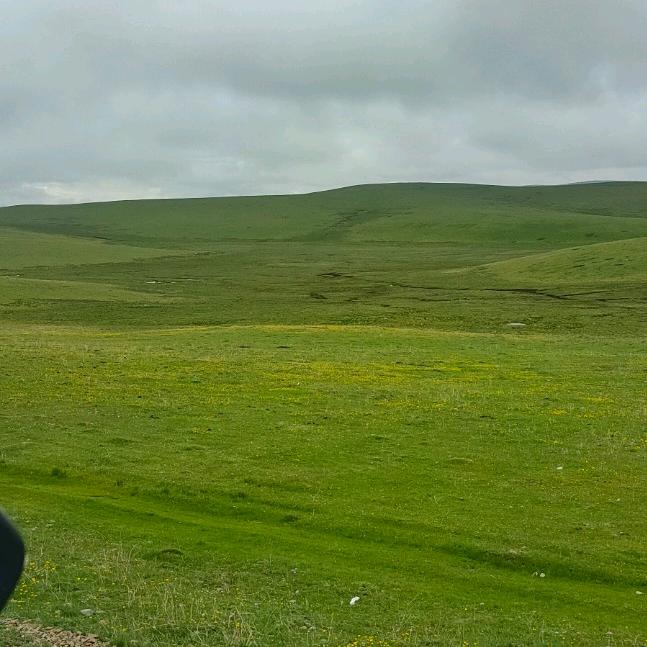 🚬᭄ཽ࿆简单（