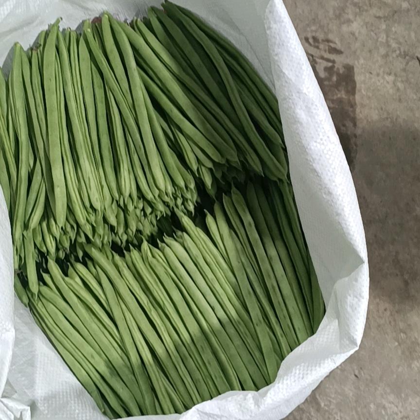 慢慢变老