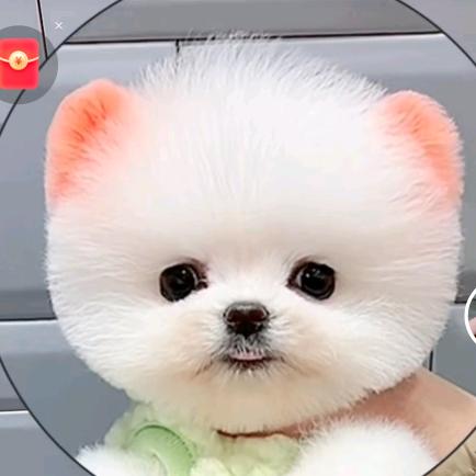 小丑妞