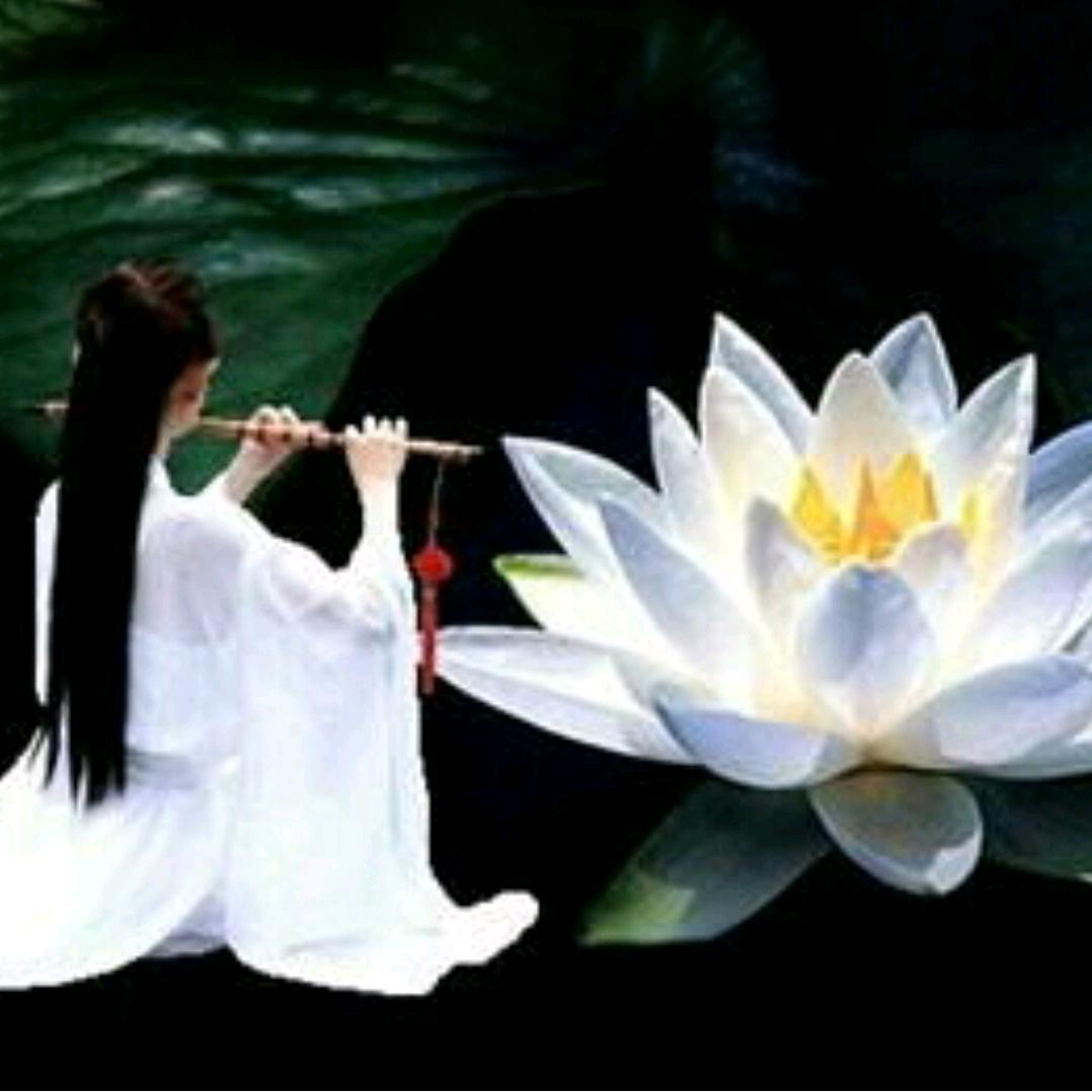 婼曦