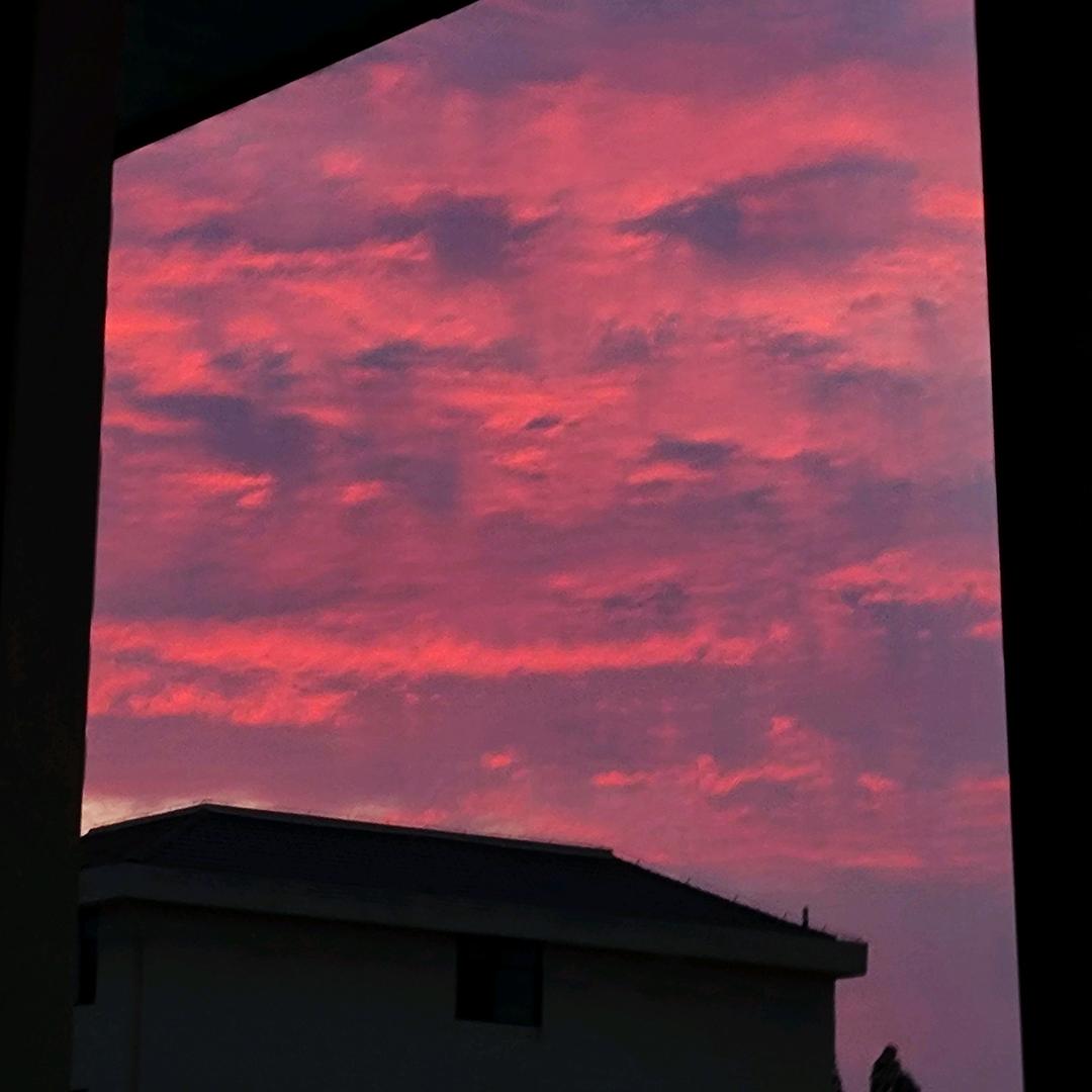 箐揪