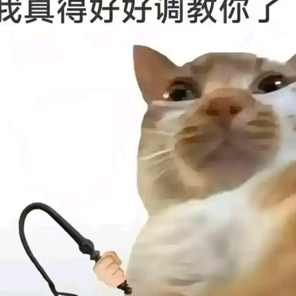 3838438
