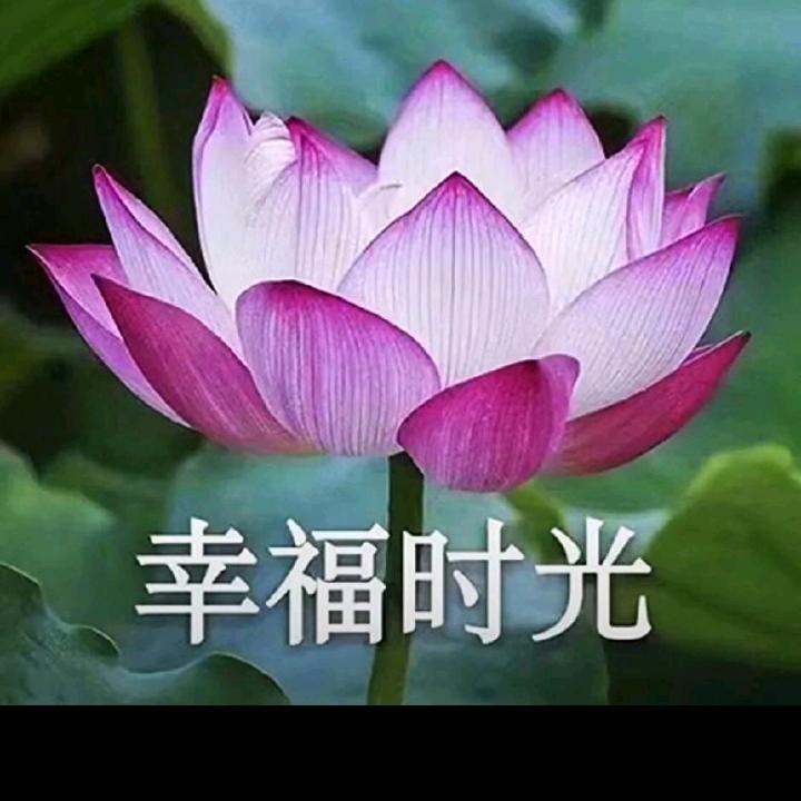 窗外的雨