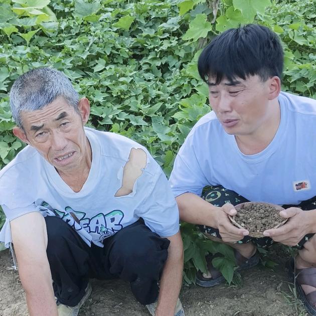 冉越江