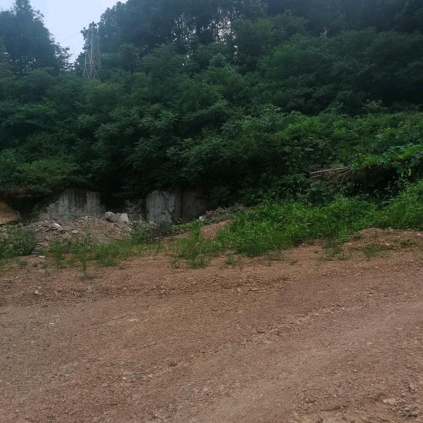 幸福的