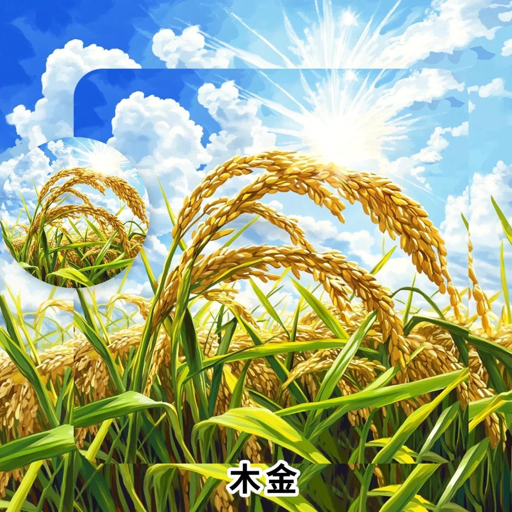 影川百货