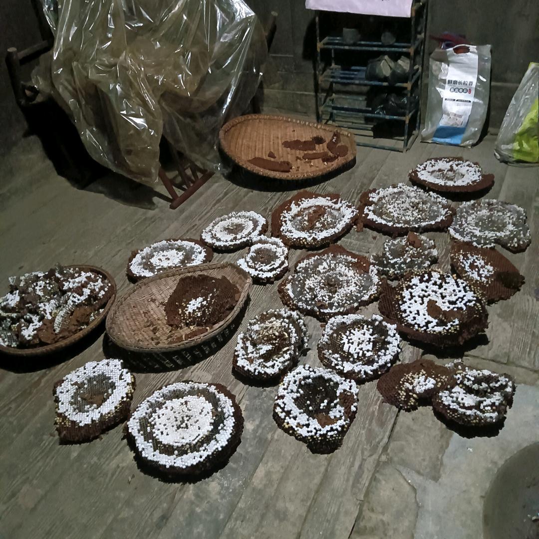 户外，农民，老百姓