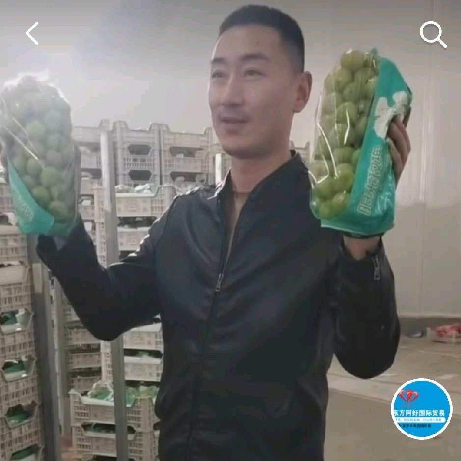 阿浩外贸供应链