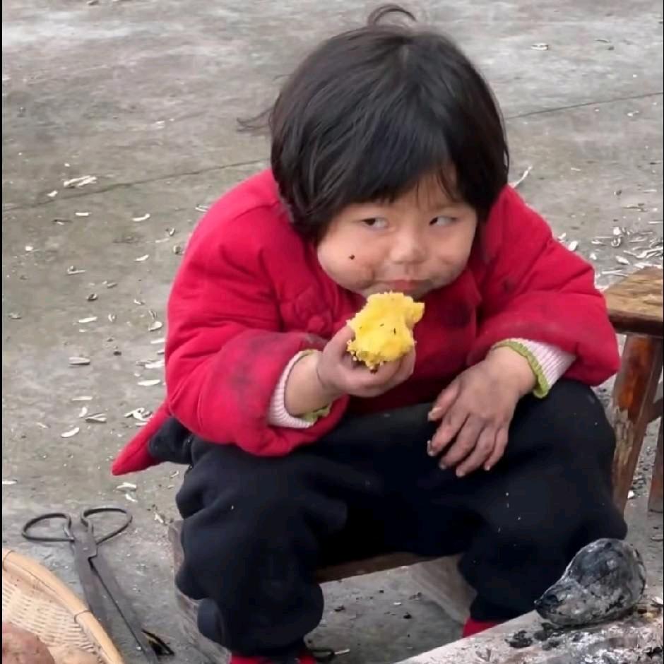 六瓶选手B绿毛龟
