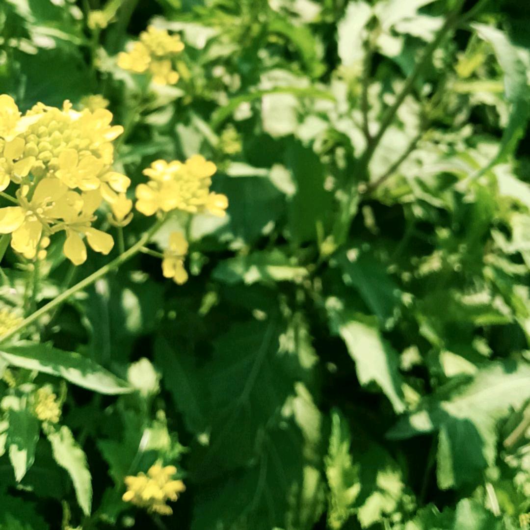 最熟悉的陌生人（橱窗有好物）