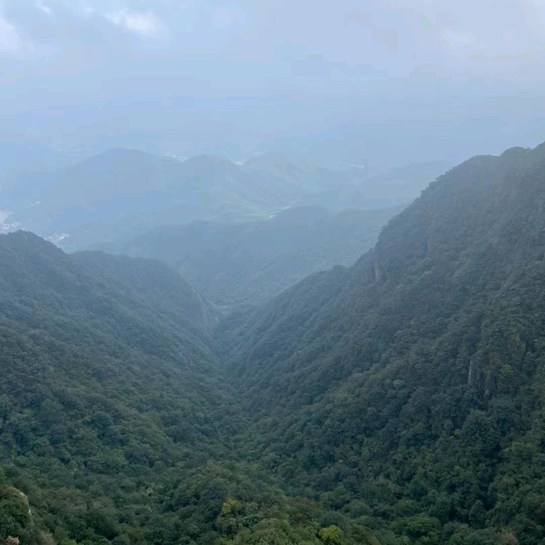 @@难得糊涂