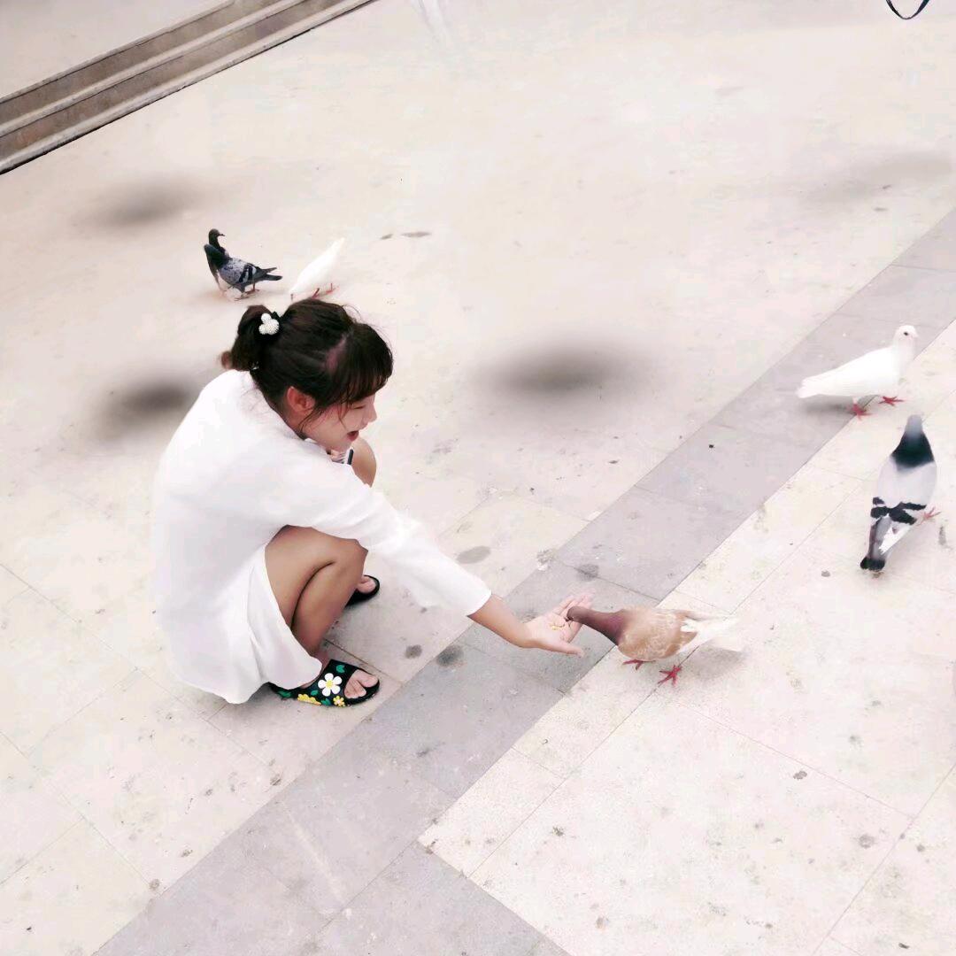 🤍🩵💙❤️💛🩶💚