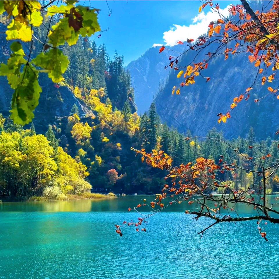 旅游搭子
