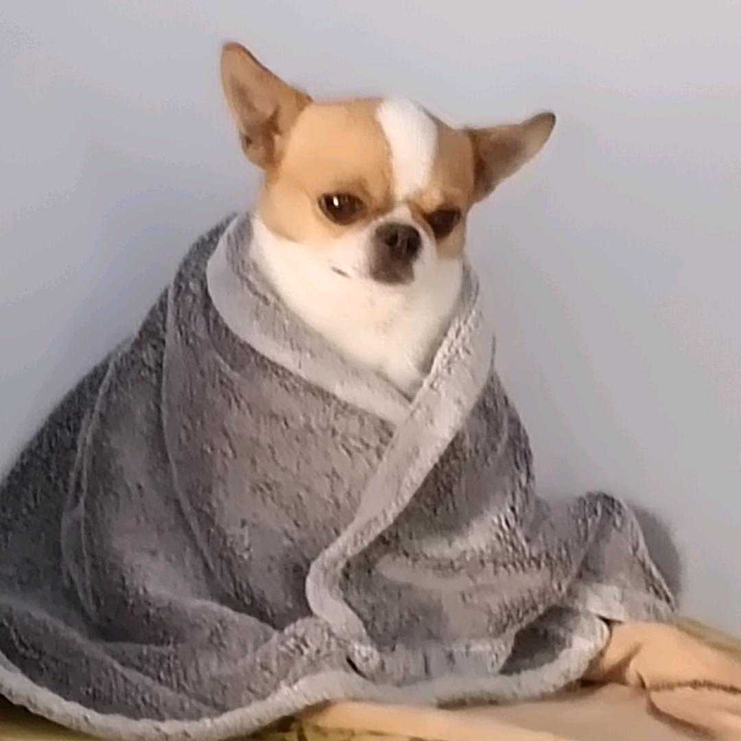 开心