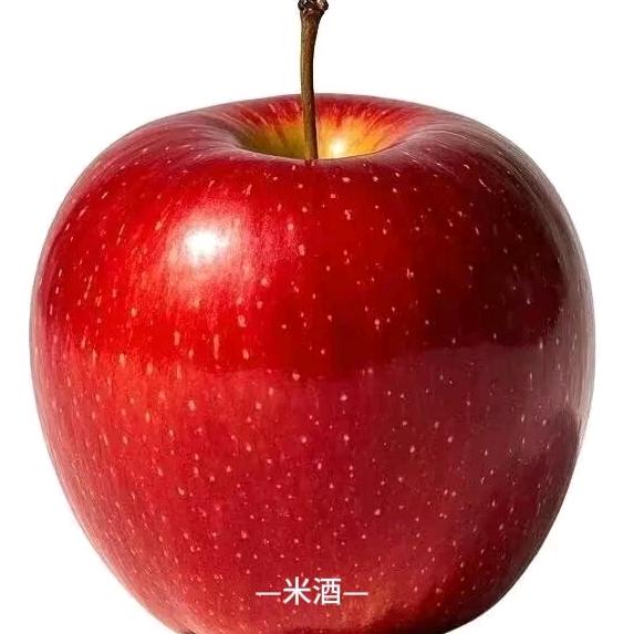 米酒RiceVine
