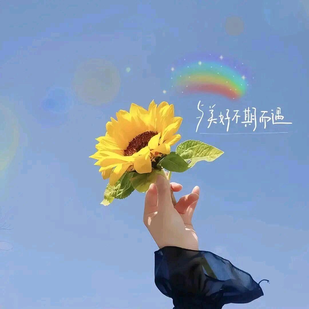 青春永驻🌹