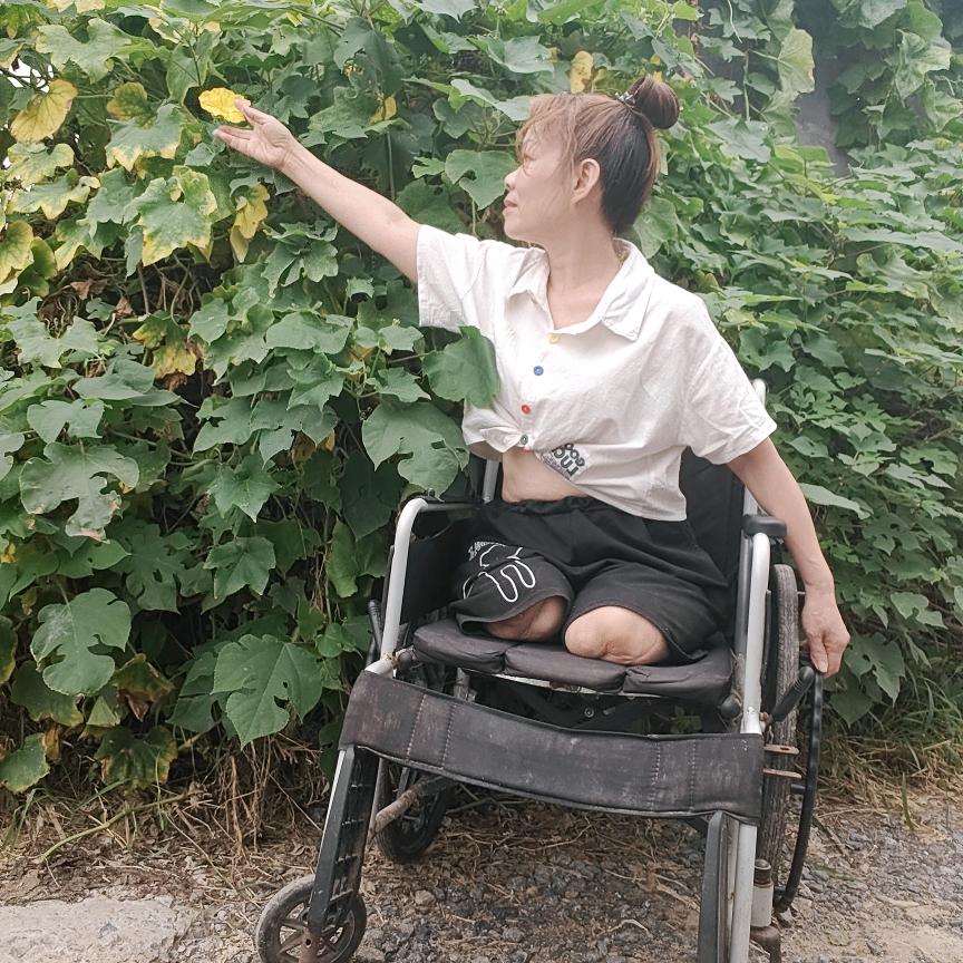 轮椅单亲妈