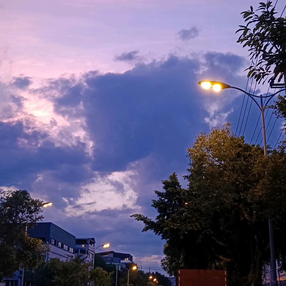 ：ღ᭄烈酒忘愁࿐