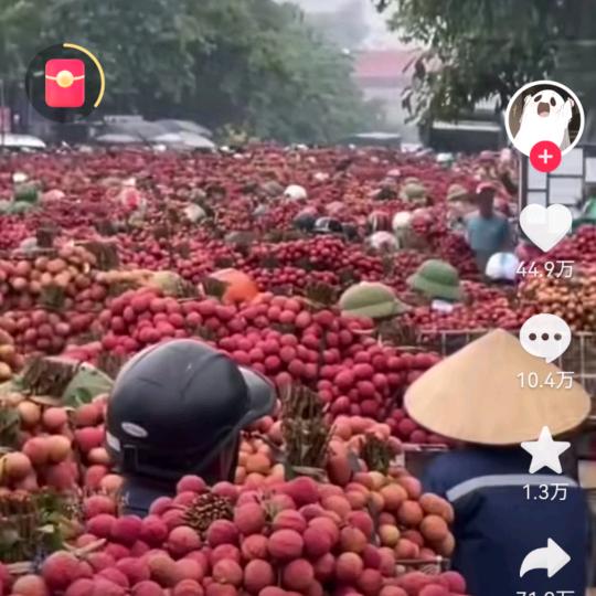 丰收的喜欢😂
