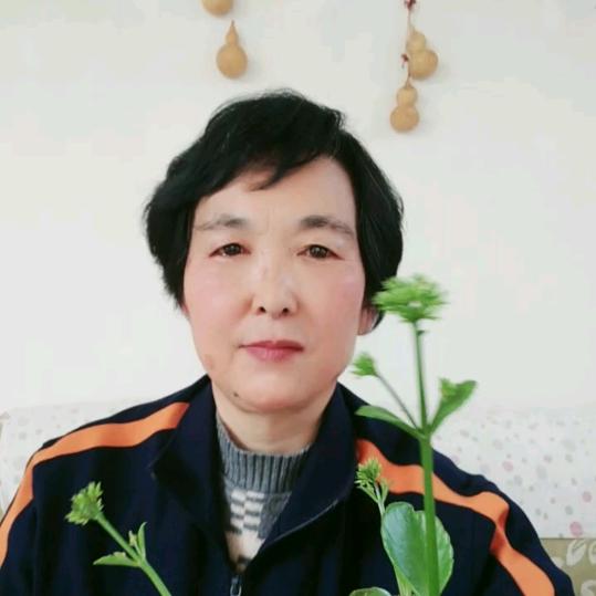 桂姐~