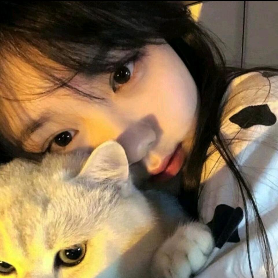 小果冻🐶柯基
