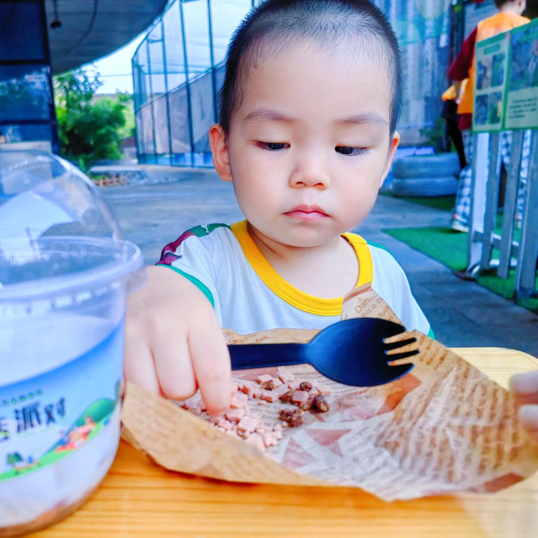 果果游玩记