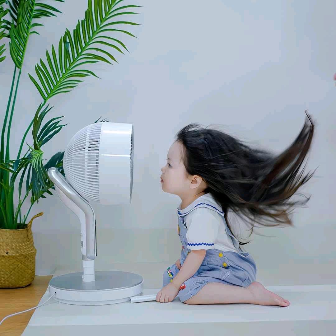 貌似是妮妮